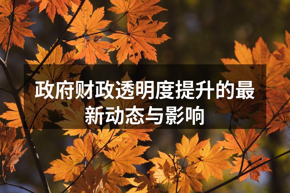 政府财政透明度提升的最新动态与影响
