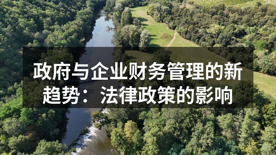 政府与企业财务管理的新趋势：法律政策的影