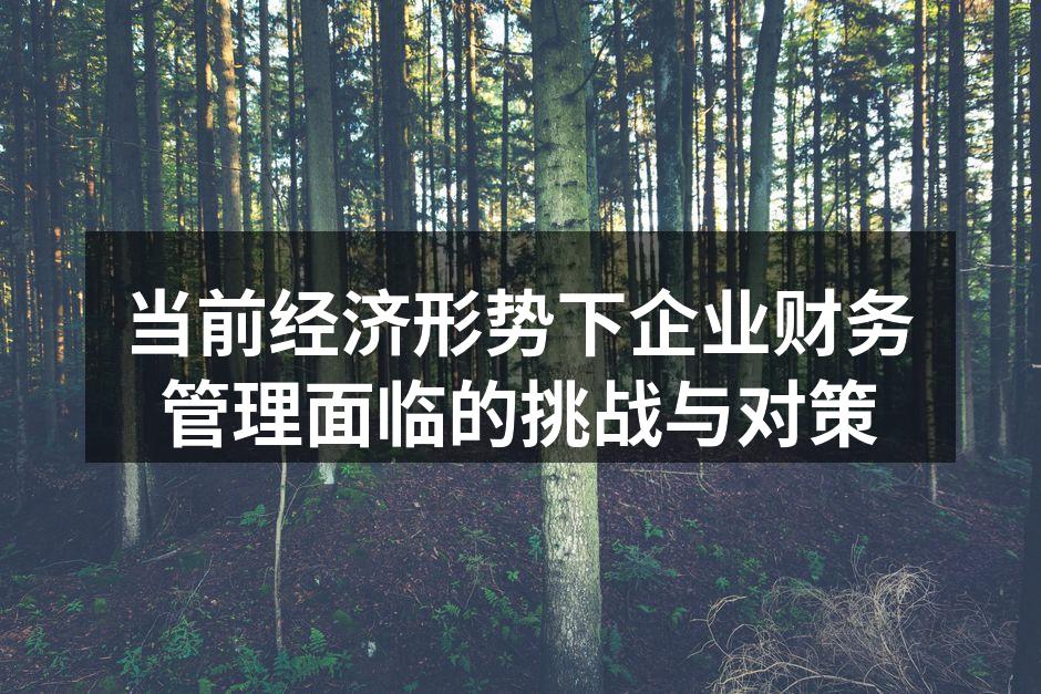 当前经济形势下企业财务管理面临的挑战与对