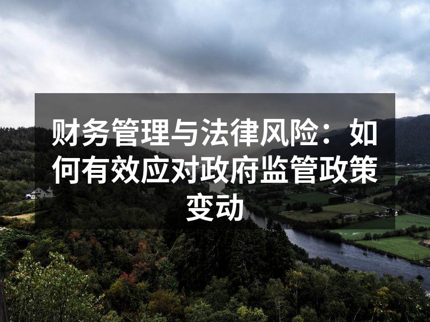 财务管理与法律风险：如何有效应对政府监管